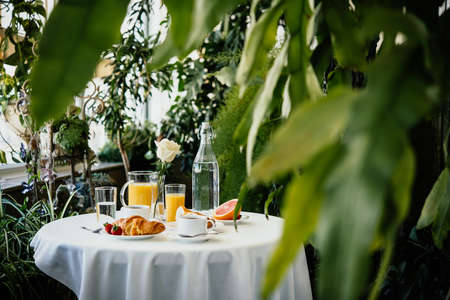 Continental breakfast served in a garden or cafeの写真素材