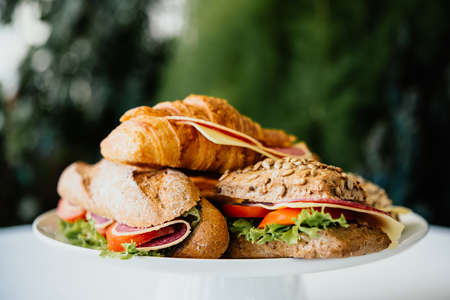 Plate with different sandwichesの写真素材