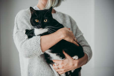 Young woman holding her catの写真素材