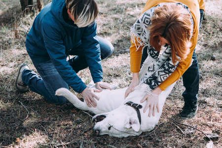 Happy lesbian couple cuddling a dog while walking in the forestの写真素材