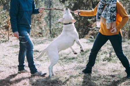 Happy lesbian couple playing with a dog in the forestの写真素材