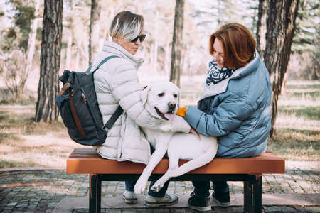 Happy lesbian couple sitting with a dogの写真素材