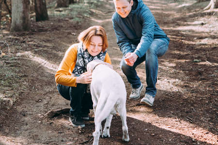 Happy lesbian couple walking in the forest with a dogの写真素材