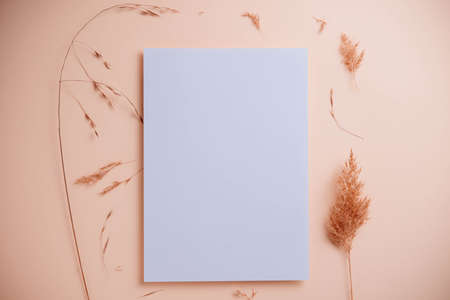 Stylish white blank paper mockup on a colorful background. Document and presentation stationery...