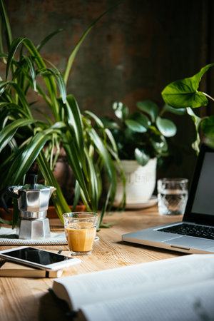 Enjoying working from an atmospheric home office full of green plants.の写真素材