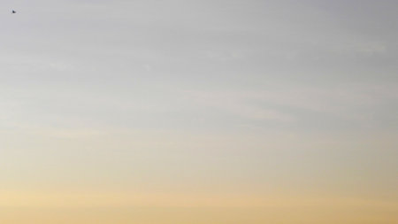 Hawk flying high on the horizon.の写真素材