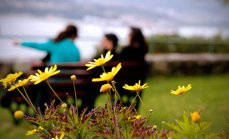 Springの写真素材