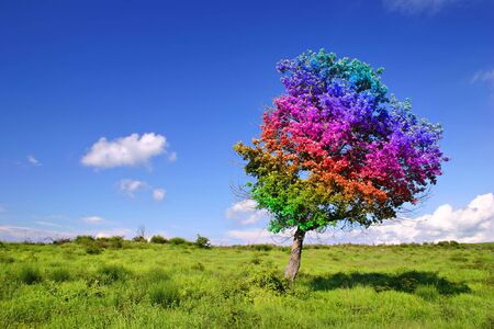 Magic Tree on grass land