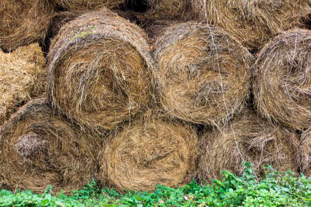 Bales of hay piled one upon another in a barnの写真素材