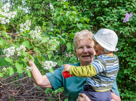 Grandmother shows blooming flowers to her little grandson in a garden の写真素材