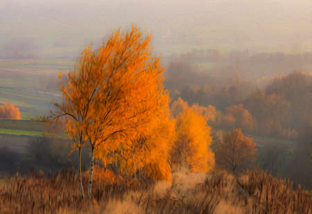 A photo of misty rural landscape in autumn, stylized and filtered to look like an oil painting  In the foregrund beautiful orange birches, in the background fields and forests の写真素材