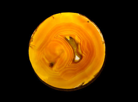 oval mineral cross-section in black の写真素材