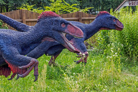 Baltow, Poland - June 12, 2014: Realistic model of feathered dinosaurs in Jura Park, Baltow on June 12, 2014. Jura Park in Baltow exihibits numerous natural size dinosaurs models.のeditorial素材