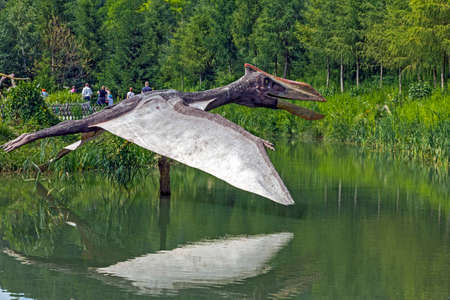 Baltow, Poland - June 12, 2014: Realistic model of pteranodon flying above a pond in Jura Park, Baltow on June 12, 2014. Jura Park in Baltow exihibits numerous natural size dinosaurs models.のeditorial素材