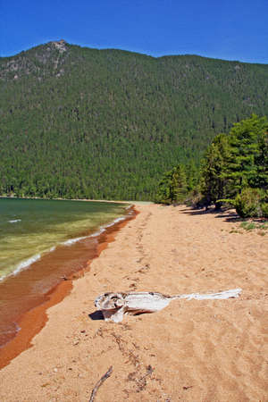 wild shores of Lake Baikal in Russian Siberia - sandy beach and forest in background, vertical, ,  stylized and filtered to resemble an oil paintingの写真素材