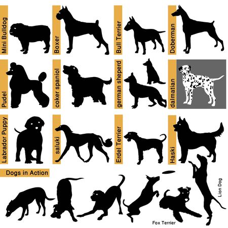 black silhouettes of dogs - different racesのイラスト素材