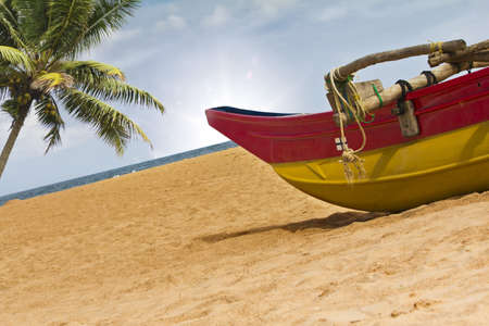 Boat and palm tree on the beachの写真素材