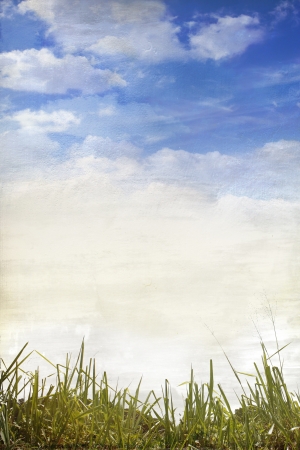 Background of grass and blue sky with cloudsの写真素材
