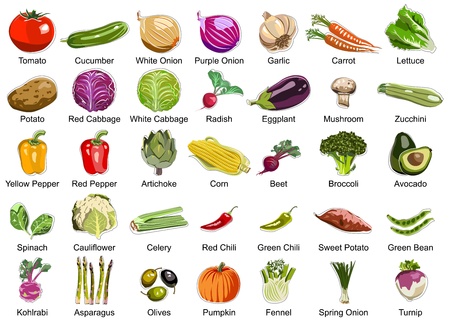 Collection of 35 Vegetables icons のイラスト素材