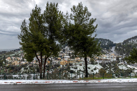 Mountain view of a small town covered in snow hidden behind two trees. Gray sky and clouds in the...