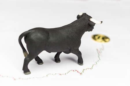 Bull With Bitcoin Cryptocurrency On Computer Motherboard. Bull Market Wall Street Financial Concept With Copy Space.の写真素材