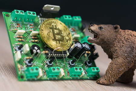 Photo of Bitcoin or Bitcoin cash on electronic circuit, computer part and bear next to itの写真素材