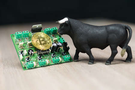 Photo of Bitcoin or Bitcoin cash on electronic circuit, computer part and bull next to itの写真素材