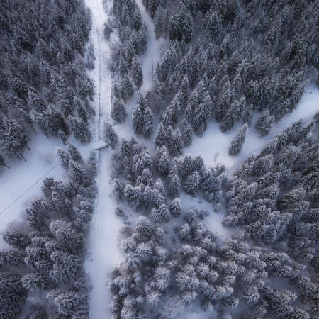 Aerial drone view of road in idyllic winter landscape. from a birds eye view.の写真素材