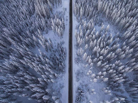 Aerial drone view of road in idyllic winter landscape. Street running through the nature from a birds eye view.の写真素材