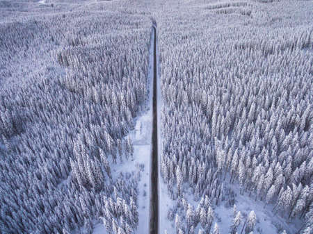 Aerial drone view of road in idyllic winter landscape. Street running through the nature from a birds eye view.の写真素材