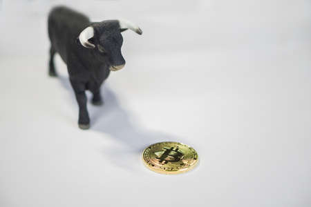 Bull market in crypto currency. Bulls shadow dropping on bitcoin coinの写真素材