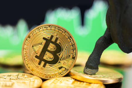 Bull market in Bitcoin crypto currency. Bullish price trend and rise in valueの写真素材