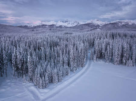 Snow covered winter forest landscape aerial view with pines and mountains in the background. Cold morning sunrise with alpenglow.の写真素材