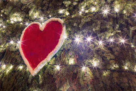 Red heart with lights on spruce and pine background. Valentines Day. Symbol of love. Copy space.の写真素材