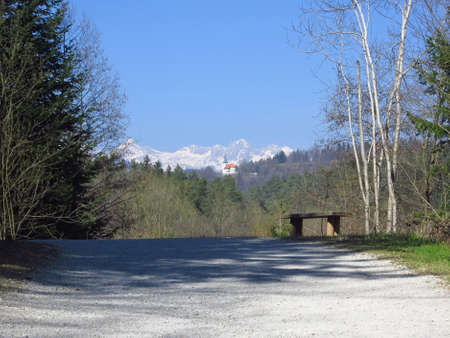 View on a path with bench of the alps with the church and the forestの写真素材
