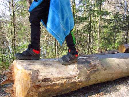 Boy child walking on tree trunks stimulates motor development and balanceの写真素材