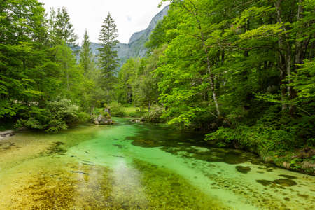 Colorful spring panorama of Sava bohinjka river at the Bohinj Lake village Ukanc. Picturesque moning scene in the Triglav National Park, Julian Alps.の写真素材