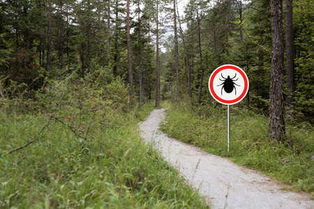 Tick insect warning sign in infected forest. Lyme disease and meningitis transmitter.