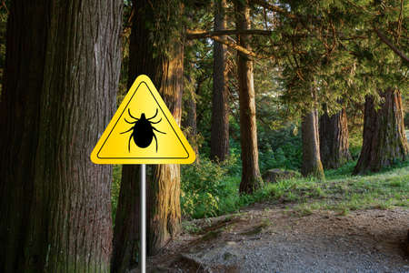 Tick insect warning sign in infected forest. Lyme disease and meningitis transmitter.の写真素材