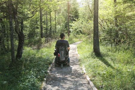 Happy man on wheelchair in nature. Exploring forest wilderness on an accessible dirt path.