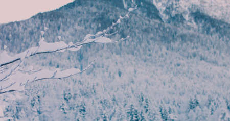 Fresh snow on a sunny winter morningの写真素材