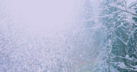 Sun flare on a bright winter morning with snow