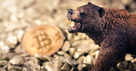 Bearish bitcoin price drop concept. Bear market and loosing value on digital gold