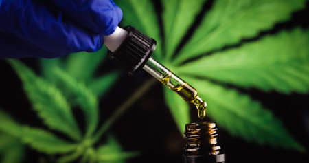 Scientist with gloves researching and examining CBD hemp oil in pipette. Concept of herbal...