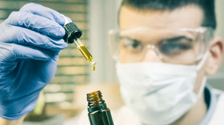 Examining cannabis cbd thc oil in medical scientist hands in pharmaceutical laboratory with mask and...