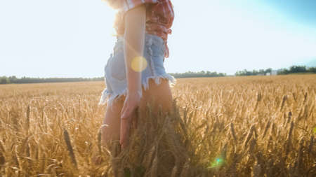 Hand of woman slides through wheat field in a sunset light.の写真素材
