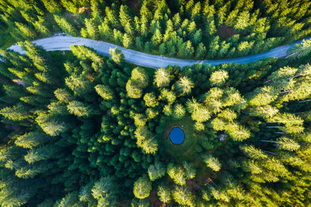 Aerial view over mountain road going through pine forest with small lake. Pokljuka, Slovenia