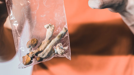 Magic Mushrooms for microdosing being held in man hands. Psilocybin psychedelic therapy.の写真素材