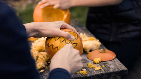 Carving pumpkins for halloween in the backyard. Fun family activity.の写真素材