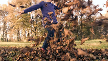 Ground angle shot of a caucasian preschool girl hitting, like a ball, heap of dry leaves into a camera, byciklist in the backgroundの写真素材